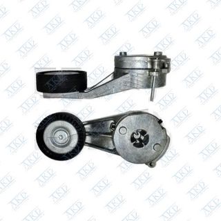 ALTERNATÖR GERGİ RULMANI KOMPLE ASTRA G 2.0 XEV resmi