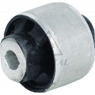 SALINCAK BURCU MEGANE SCENIC FLUENCE resmi