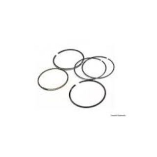 MOTOR SEGMANI STD LAMELLİ R12 1400 76.00 resmi