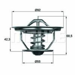 TERMOSTAT RENAULT 25 B29 89C resmi