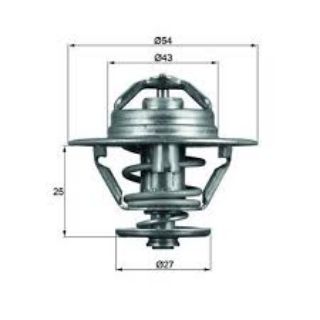TERMOSTAT 74C MASTER 2.5 D-2.5 TD-2.8 DTI 76C resmi