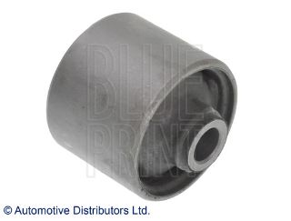 SALINCAK BURCU SUZUKI resmi