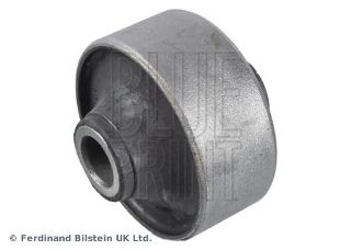 SALINCAK BURCU SUZUKI resmi