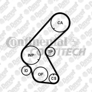TRİGER KAYIŞI resmi