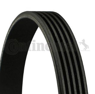 V KAYIŞI M266 W169-245 04-11 resmi