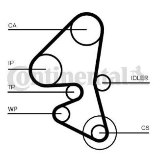TRIGER KAYIS SETI + SU POMPASI **INCE KAYIS**( FORD : FİESTA FOCUS C.MAX MONDEO COURİER CONNECT KUGA resmi