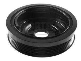 KRANK KASNAĞI CUTA, CYZA POLO 14- resmi