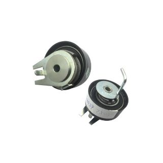 EKSANTRİK GERGİ RULMANI P407 3.0HDI 09 resmi
