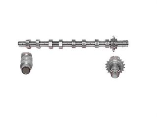 EKSANTRİK MİLİ EMME P206-P307-P406 1.6 HDI 16V-FOCUS 1.6 TDCI 16V ÇELİK resmi