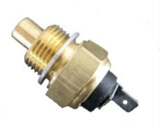 MUSUR SICAKLIK GOSTERGE J9 resmi