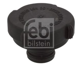 RADYATOR KAPAĞI LAND ROVER RANGE III BMW E31 E36 E32 E38 E46 200 BAR resmi