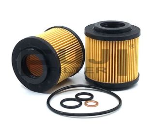 YAG FILTRESI BMW E81 E87 E46 E90 E60  X1 E84  X3 E83 resmi
