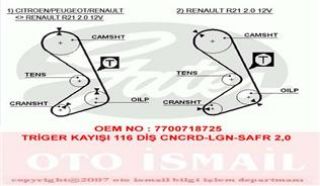 TRİGER KAYIŞI 116X190 116 DİŞ CNCRD-LGN-SAFR 2.0 GD116H9-5P190 CT749 resmi