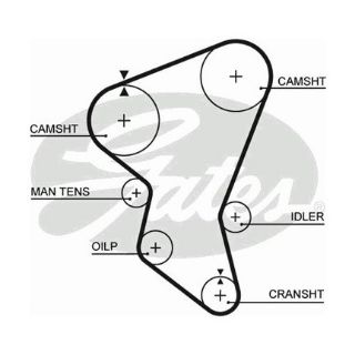 X TRİGER KAYIŞI 137X300 İSUZU MIDI 2.0TD 8V 90-92 2.2D 8V 88-92 2.4TD 8V 92-96 CT516 resmi