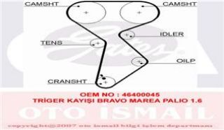 TRİGER KAYIŞI BRAVO MAREA PALİO 1.6 (GD158H8P254) resmi