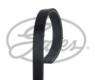 KANALLI V KAYISI 5PK 1205 ( ROVER : 800 LANDROVER RANGROVER ) resmi