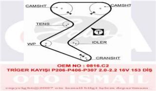 X TRİGER KAYIŞI 153X254 PEUGEOT 206 307 406 407 607 C4 C5 C8XSARA1.8 2.0 2.2 EXPERT FIAT CT1138 resmi