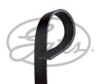 X KANALLI KAYIŞ SUZUKİ GRAND VİTARA 1.9D 8V 05-08 resmi