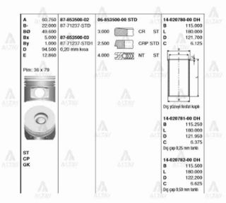 SEGMAN NPR-66 112MM STD TAKIM resmi