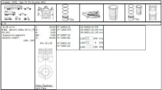 SEGMAN TAKIMI 16SV C16NZ ASTRA F VECTRA A (79,00MM) STD TAKIM resmi