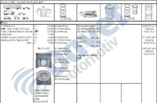 SEGMANLI PİSTON 69.6 MM 040 ALBEA DOBLO PALİO 1.3 MTJ CORSA COMBO 1.3 CDTI 03 EURO4 70S TAKIM resmi