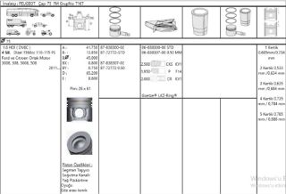 PİSTON+SEGMAN 1,6 TDCİ FOCUS/C-MAX/MONDEO 11- resmi