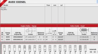 SUBAP GAYDI (IN 12 EX 12) A4 A6 2,5TDI 24V (AFM) resmi