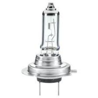 AMPUL 12V 55W resmi