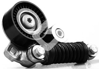 ALTERNATÖR GERGİ RULMANI KÜTÜKLÜ AUDI A8 4.0TDI QUATTRO 03-05 Q7 4.2TDI QUATTRO 07-09 resmi