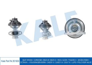 EGR VALVE CORDOBA-IBIZA III-IV-LEON-TOLEDO II-FABIA I-OCTAVIA I-BORA-CADDY II-III-GOLF IV-LUPO-POLO resmi