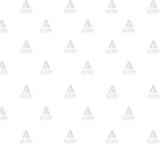 MOTOR KAPUTU PREGİO resmi