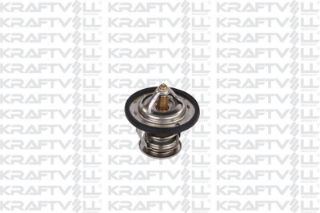 TERMOSTAT 88 DERECE ACCENT 1994 2000 (YUMURTA KASA) resmi