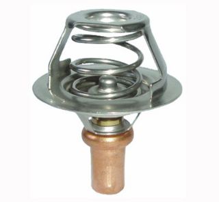 TERMOSTAT-REN 9-19 1.4 E7J resmi