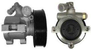 DIREKSIYON POMPASI  KASNAKLI  ( PEUGEOT: 406 2.0 16V 94 - 02  ) resmi