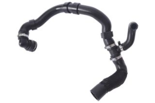 RADYATOR HORTUMU ALT  ( VOLKSWAGEN : JETTA IV 1.6 TDI 10>15) resmi