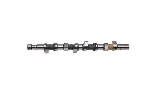 EKSANTRİK MİLİ KNG-CLİO-MGN EXP 1.9 DZL F8Q resmi