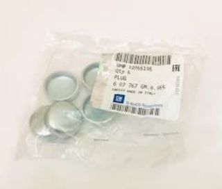 SİLİNDİR BLOGU TAPASI (25 MM) CORSA D ASTRA H 1.3 CDTI  05-  Z13DTH resmi