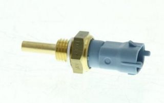 SU SICAKLIK SONDA MÜŞİRİ resmi
