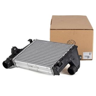 ÝNTERKOL RADYATÖR  DW10FE (2.0 HDÝ)  EXPERT 4 resmi