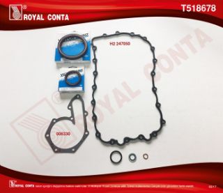 CONTA ALT TAKIM REINZ KECELI ( RENAULT : LAGUNA II 2.0 16V F4R F5R ) resmi
