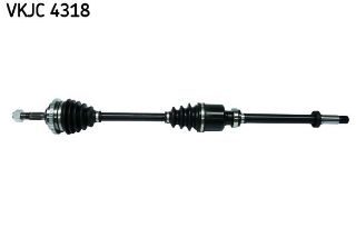 RULMAN VKJC 4318 resmi