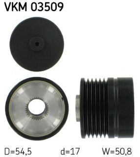 RULMAN VKM 03509 resmi