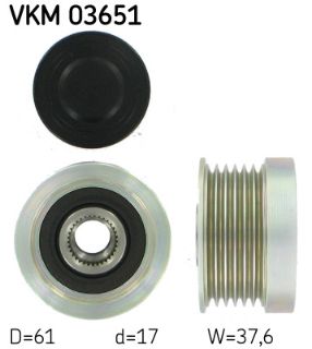 RULMAN VKM 03651 resmi