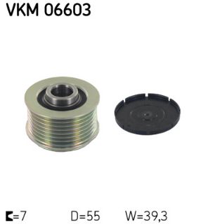 RULMAN VKM 06603 resmi