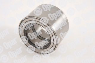 RULMAN AKS(JTD)            DCT resmi