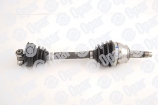 AKS MİLİ DOBLO resmi