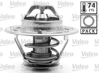 TERMOSTAT MASTER 2.5 D resmi