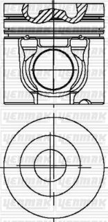 MOTOR PİSTON SEGMAN STD Ç: 108 D7D TAKIM resmi