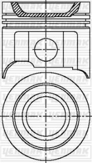 MOTOR PİSTON SEGMAN F2N 752-F2N 742 MOTOR NR 81.00 STD TAKIM resmi