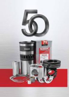 PİSTON+SEGMAN 1.00 69.60MM FİORİNO DOBLO PALİO ALBEA PUNTO 1.3 MULTIJET 16V 1.3JTD 16V 70HP COMBO MERİVA ASTRA CORSA 1.3CDTI 16V 70HP SUZUKİ IGNES SWİFT WAGON R+ Z13DT 1.3DDIS 16V TAKIM resmi